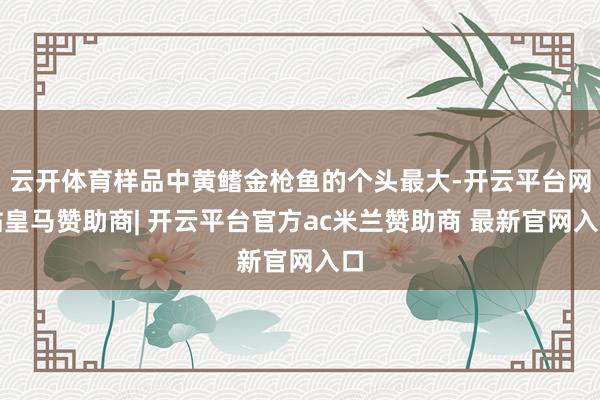 云开体育样品中黄鳍金枪鱼的个头最大-开云平台网站皇马赞助商| 开云平台官方ac米兰赞助商 最新官网入口