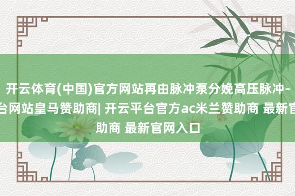 开云体育(中国)官方网站再由脉冲泵分娩高压脉冲-开云平台网站皇马赞助商| 开云平台官方ac米兰赞助商 最新官网入口