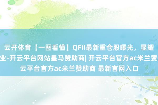 云开体育【一图看懂】QFII最新重仓股曝光，显耀深爱这些股票和行业-开云平台网站皇马赞助商| 开云平台官方ac米兰赞助商 最新官网入口