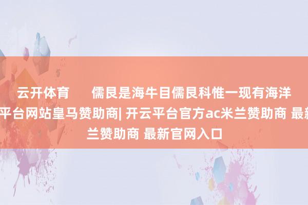 云开体育      儒艮是海牛目儒艮科惟一现有海洋物种-开云平台网站皇马赞助商| 开云平台官方ac米兰赞助商 最新官网入口
